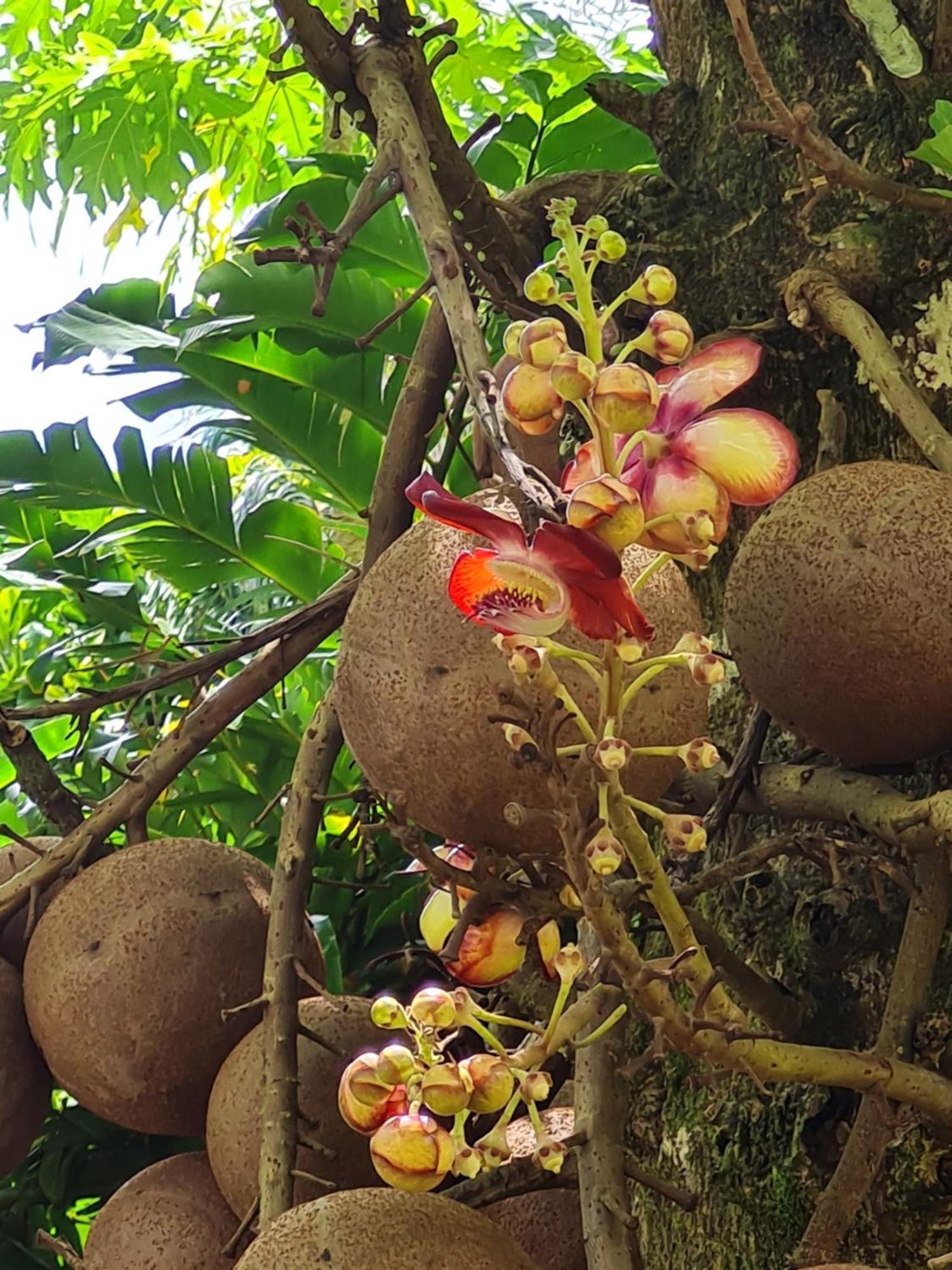 Les Gites Kajou بويانت المظهر الخارجي الصورة